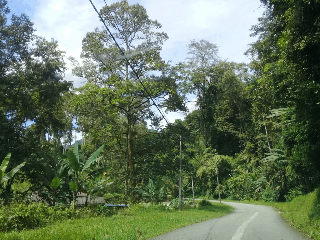 Kampung OA Sungai Chendon